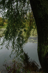 Similar image 21534331