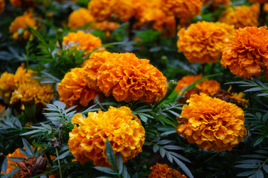 Similar image 21534332