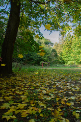 Similar image 21534334