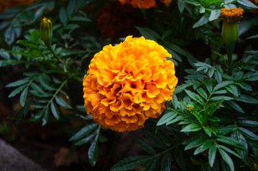 Similar image 21534336