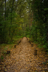 Similar image 21534337