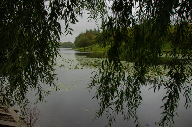 Similar image 21534339