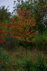 Similar image 21534340