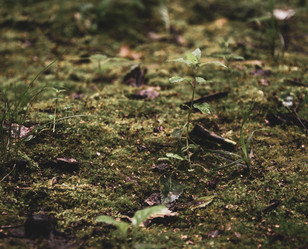 Similar image 21534341