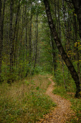 Similar image 21534343