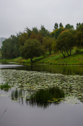 Similar image 21534344