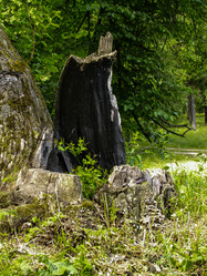 Similar image 21534347