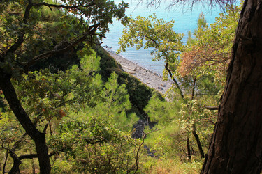 Similar image 21534349