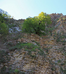 Similar image 21534350