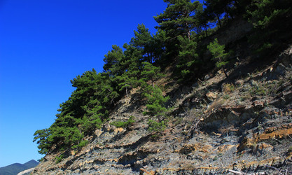 Similar image 21534478