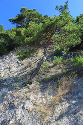 Similar image 21534481