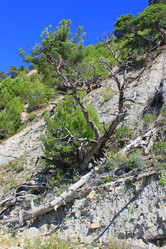 Similar image 21534482