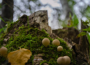 Similar image 21534483