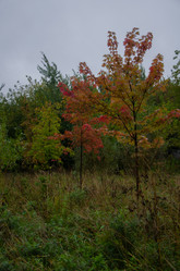 Similar image 21534484