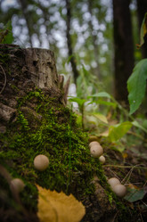 Similar image 21534485