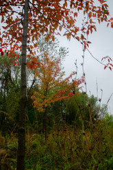 Similar image 21534488