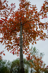 Similar image 21534490