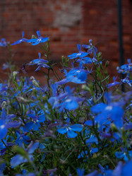 Similar image 21534491