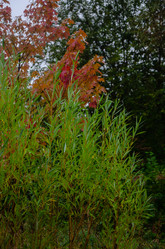 Similar image 21534492