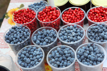 Similar image 21546570