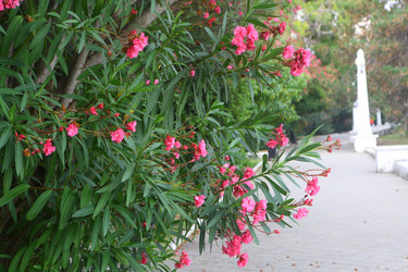 Similar image 21546571