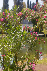 Similar image 21546572