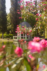 Similar image 21546573