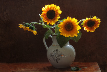 Similar image 21546581