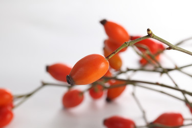 Similar image 21525721