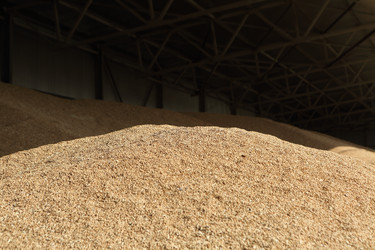 Similar image 21547315