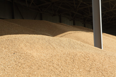 Similar image 21547317