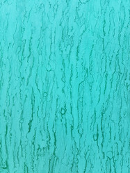 Similar image 21539499