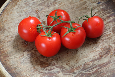 Similar image 21546609