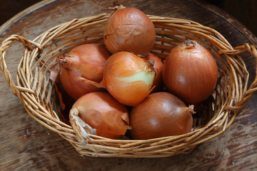 Similar image 21546610