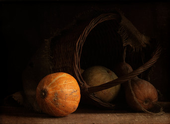 Similar image 21546620