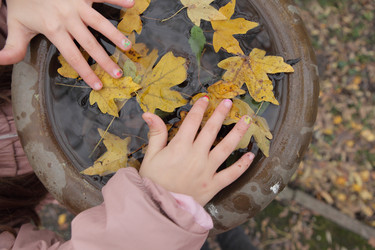 Similar image 21546625