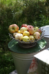 Similar image 21546626