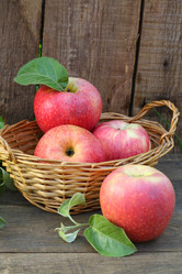 Similar image 21530079