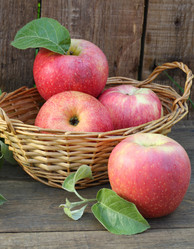 Similar image 21530080