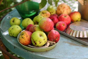 Similar image 21524981