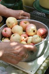 Similar image 21525048