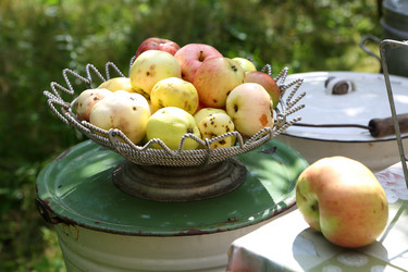 Similar image 21524982