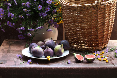 Similar image 21546632