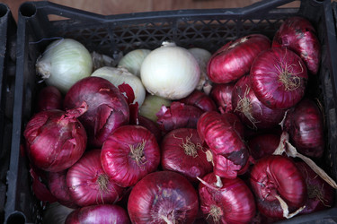 Similar image 21546633