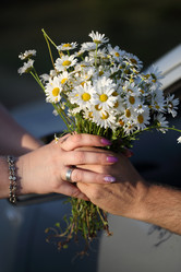 Similar image 21530082