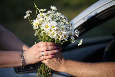 Similar image 21530083