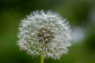 Similar image 21533107