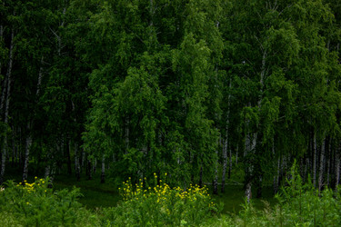 Similar image 21533108