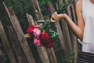 Similar image 21533109