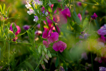 Similar image 21533110